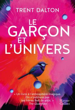 Le garçon et l’univers